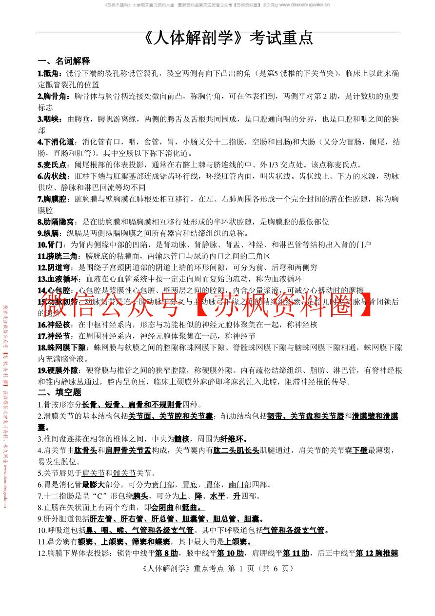 护理解剖学